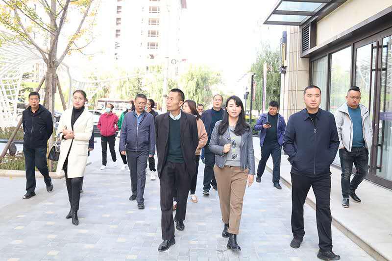 （参观麦积小镇）