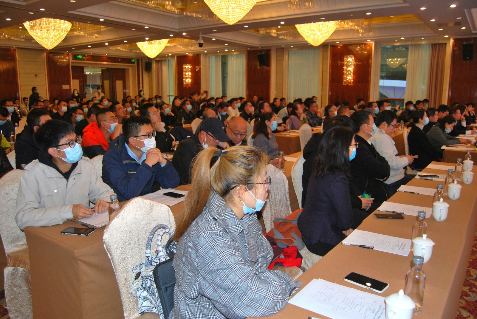 DSC_0028.JPG DSC_0028.JPG