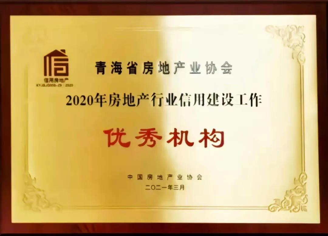青海省房地产业协会优秀机构